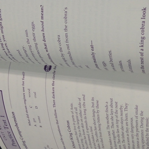 Test Best for Test Prep Level D - Picture 15 of 16